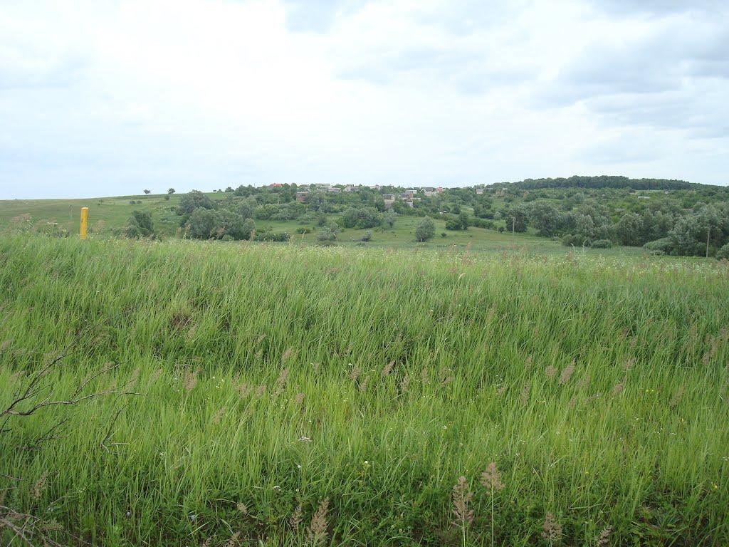 Іванківці з panoramio.com - Іванківці