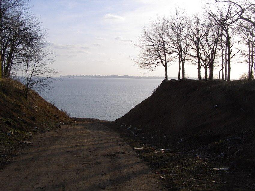 Крижанівка з panoramio.com - Крыжановка
