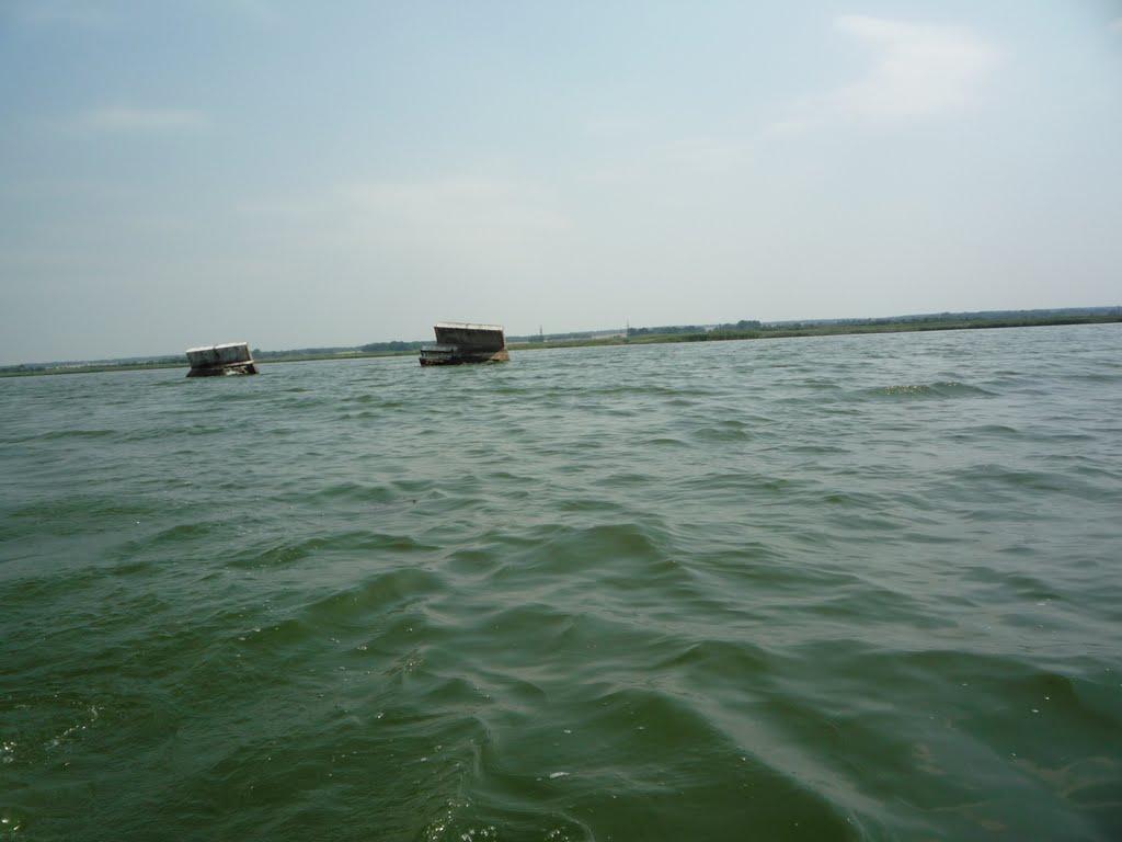 Підлиман з panoramio.com - Подлиман