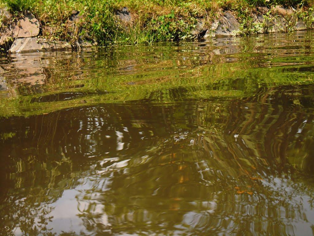 Тересва з panoramio.com - Тересва