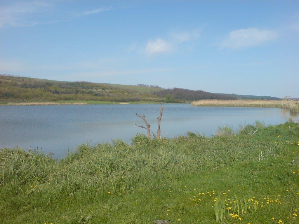 Гонората з panoramio.com - Гонората