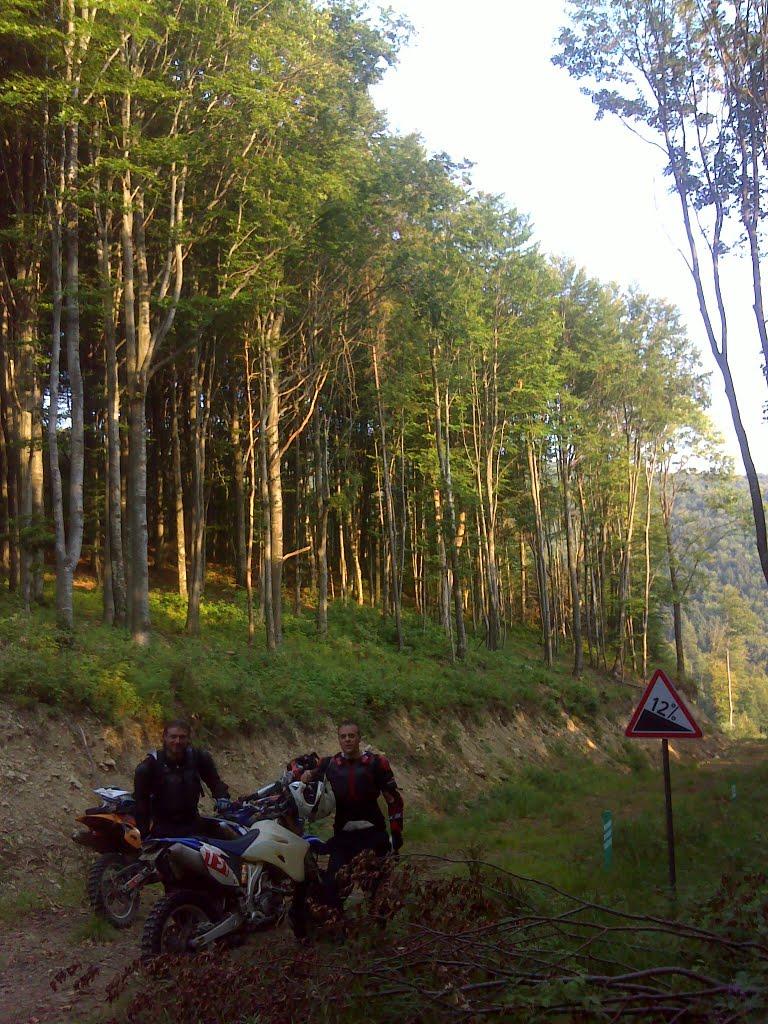 Лисичово з panoramio.com - Лисичово