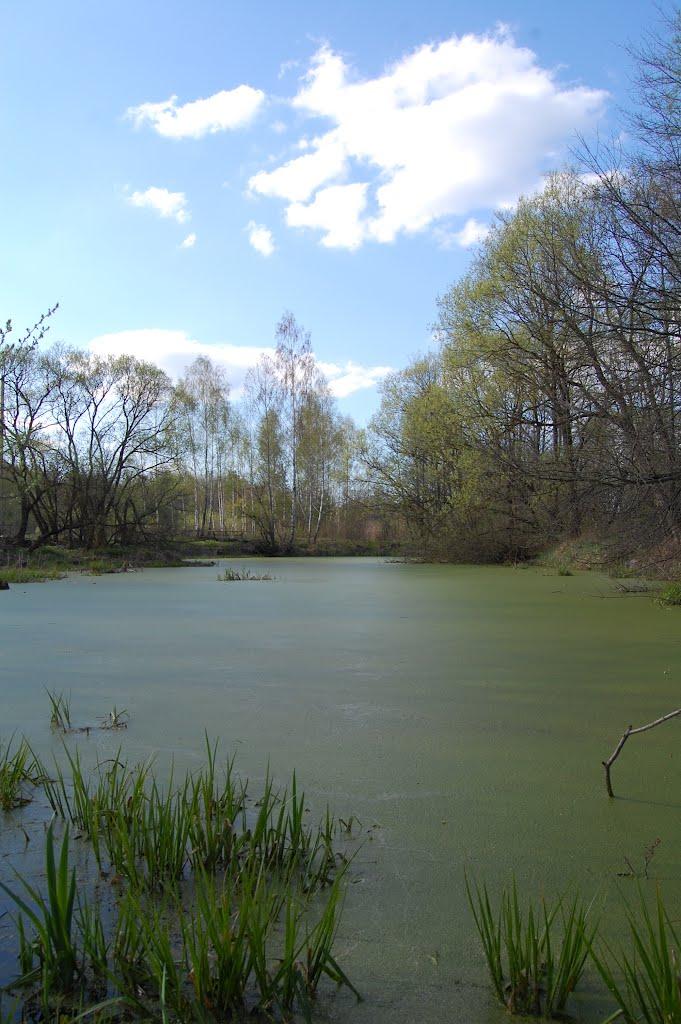 Рудня-Новенька з panoramio.com - Rudnya-Novenka