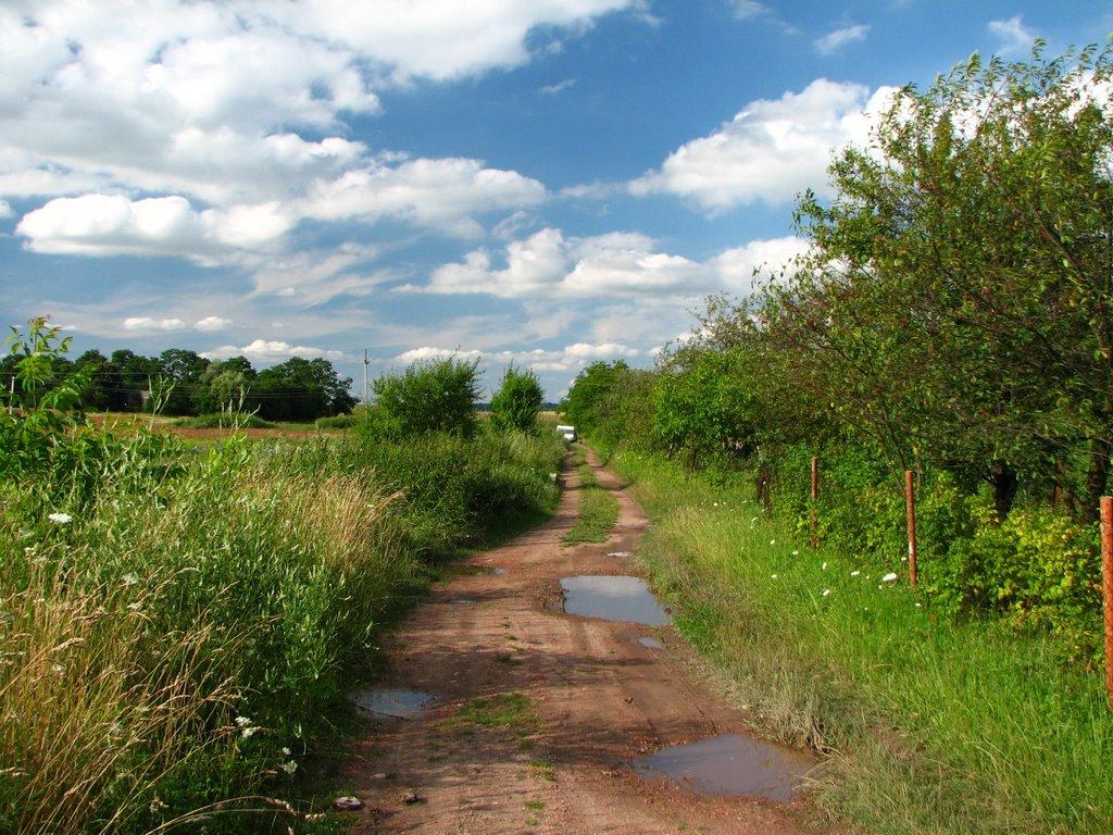 Нова Лішня з panoramio.com - Нова Лішня