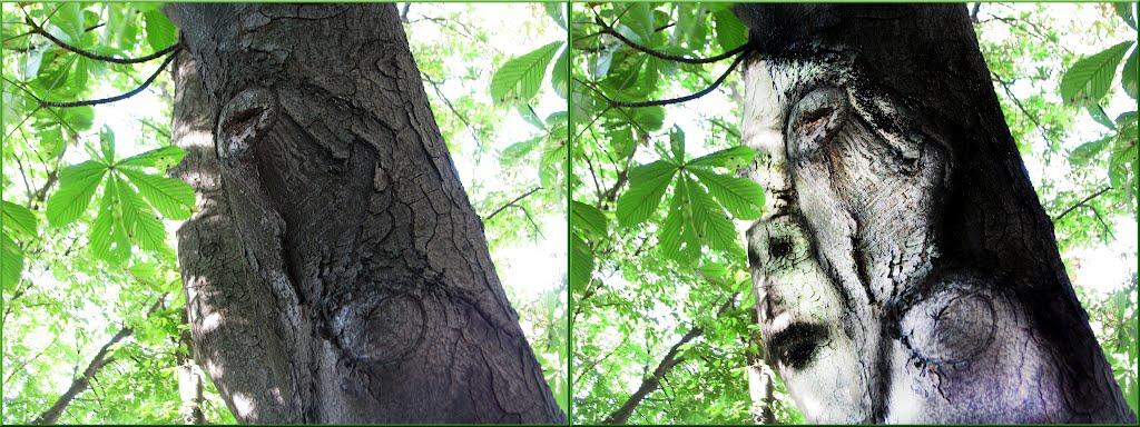 Фастів з panoramio.com (ч.2) - Фастов