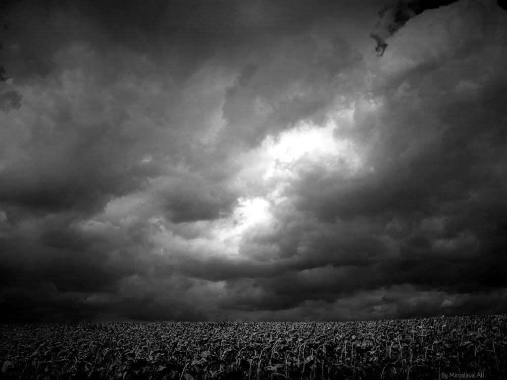 Приморське з panoramio.com - Приморське