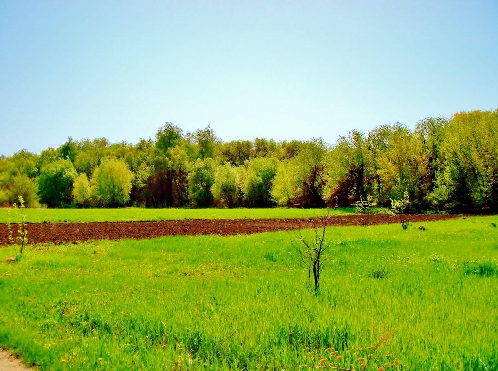 Гудзівка з panoramio.com - Гудзовка