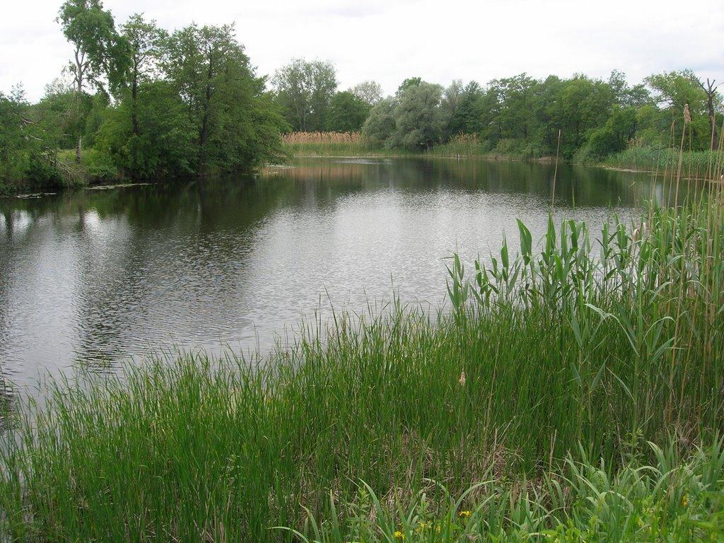 Ізюм з panoramio.com (ч.2) - Ізюм