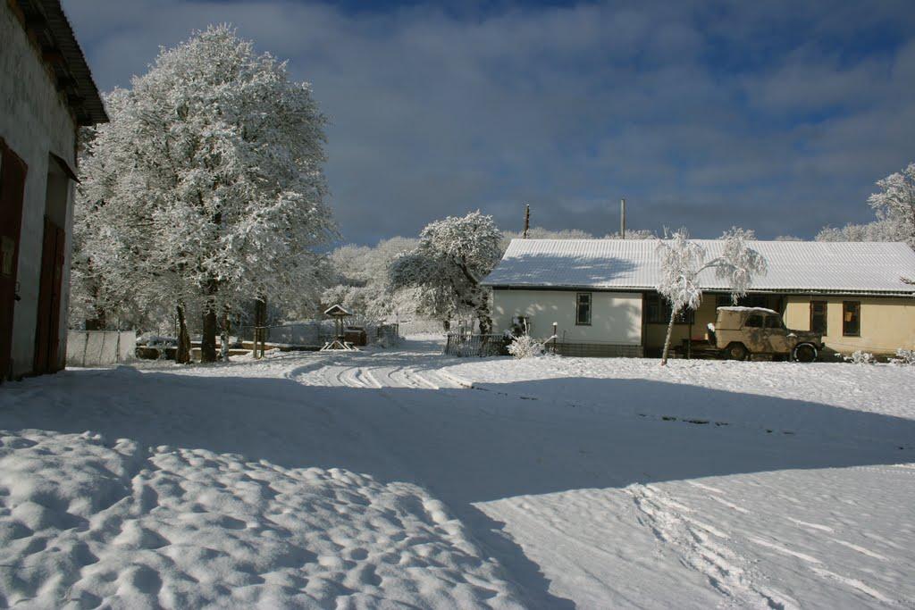 Соколине з panoramio.com (ч.2) - Соколиное