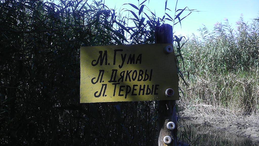 Яськи з panoramio.com - Яськи