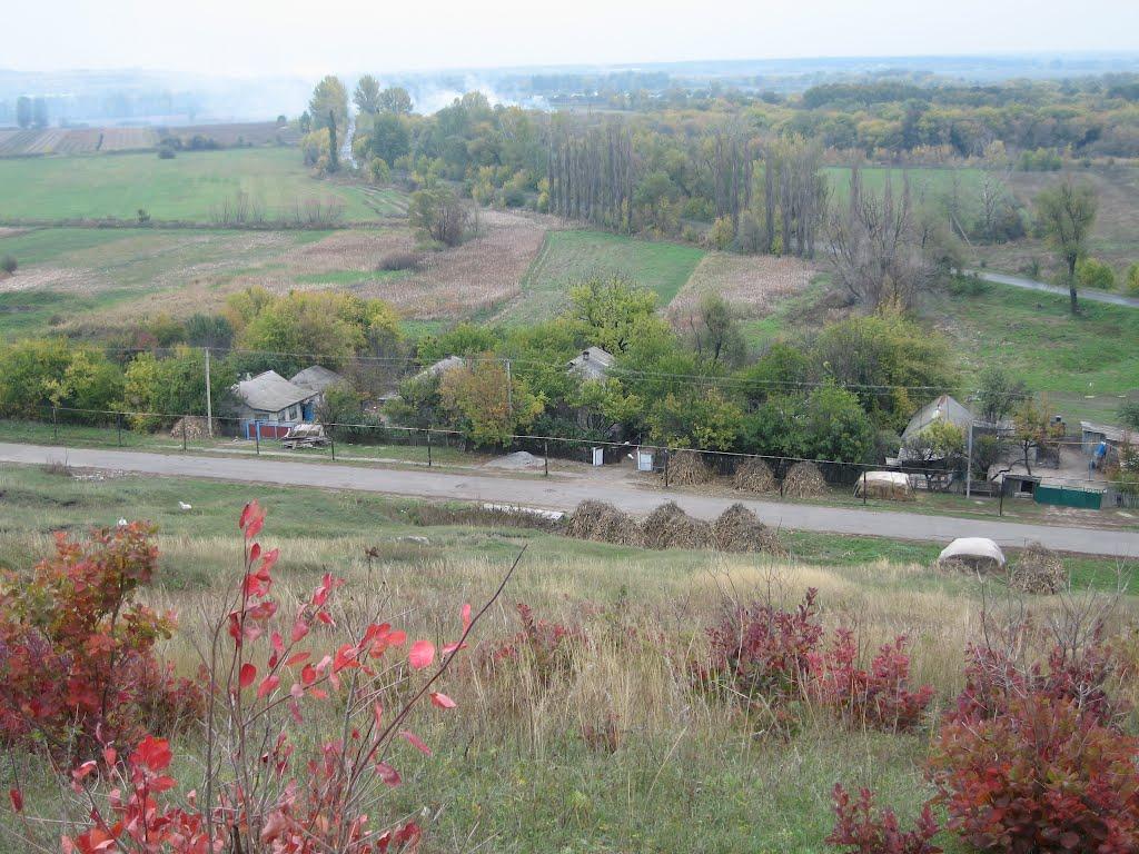 Хворостянівка з panoramio.com - Хворостянівка