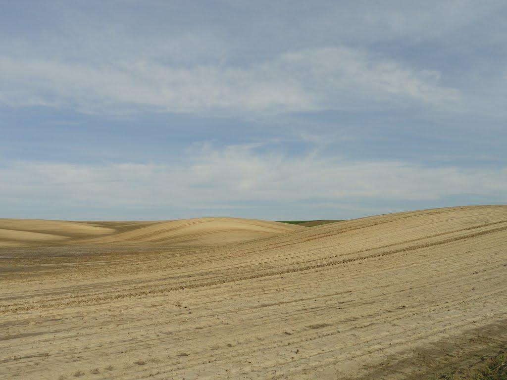 Буяни з panoramio.com - Буяни