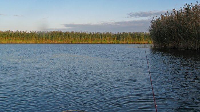 Мирони з panoramio.com - Мироны