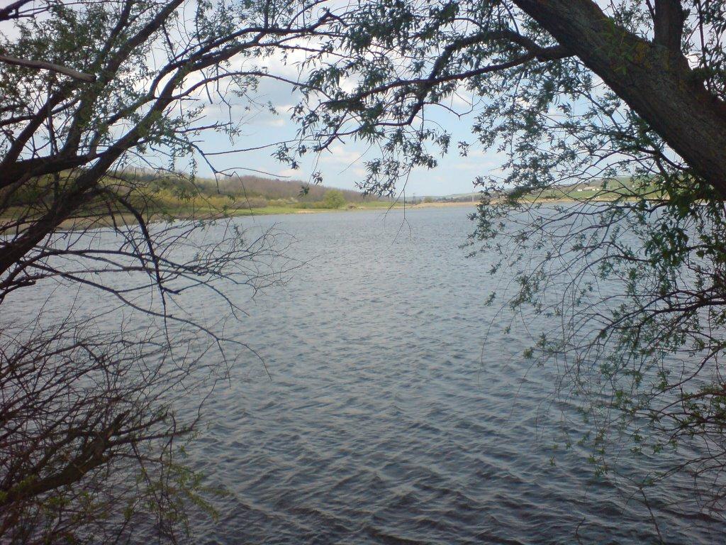 Гонората з panoramio.com - Гонората