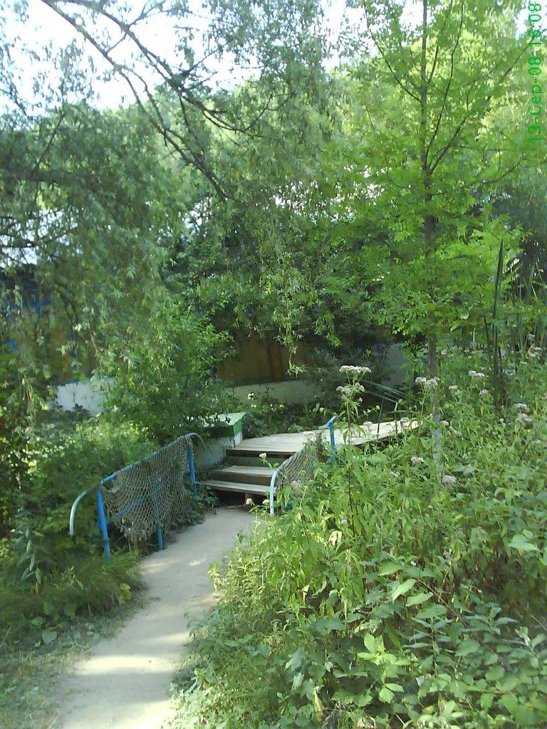 Новобобрівське з panoramio.com - Новобобрівське