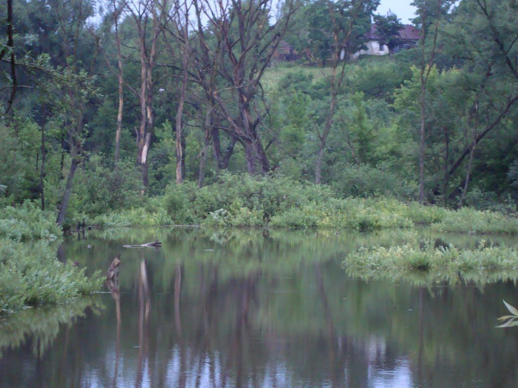 Мала Мочулка з panoramio.com - Мала Мочулка