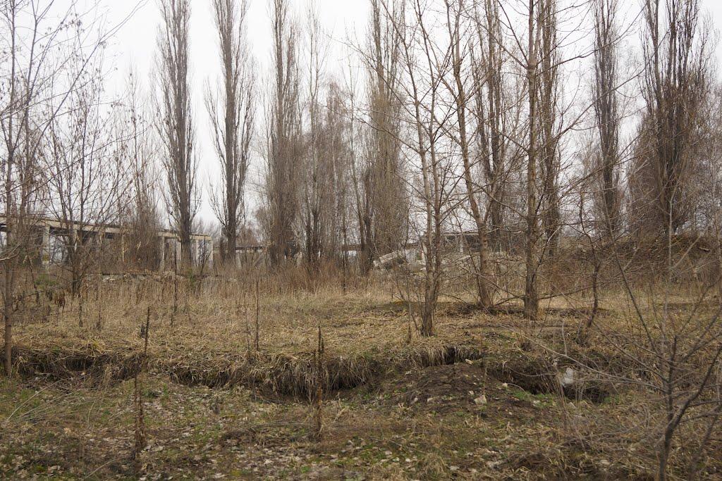 Кряківка з panoramio.com - Кряківка