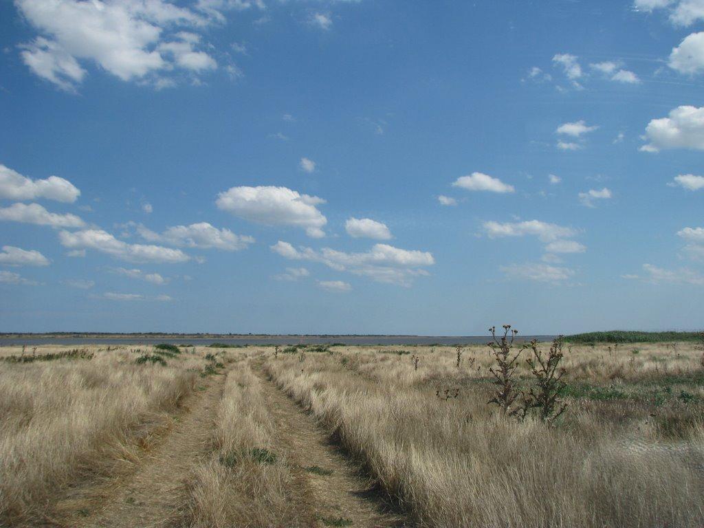 Безім'янка з panoramio.com - Безім'янка