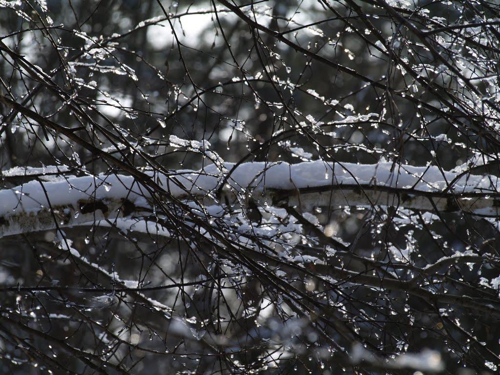 Погреби з panoramio.com (ч.3) - Погреби