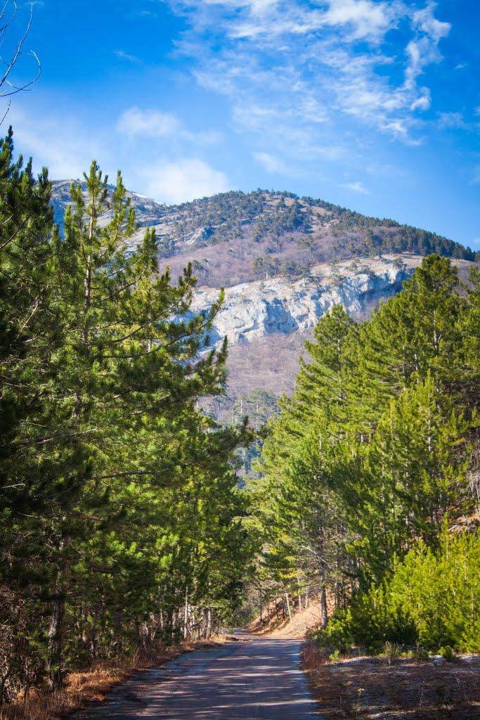Совєтське з panoramio.com (ч.2) - Советское