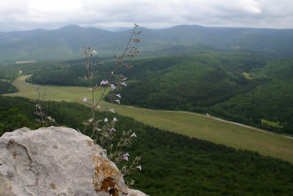 Велике Садове з panoramio.com - Большое Садовое