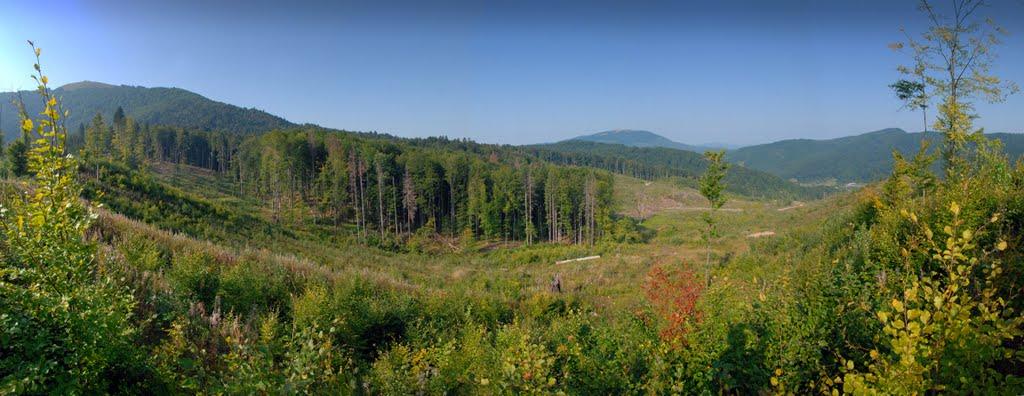 Воловець з panoramio.com - Volovets