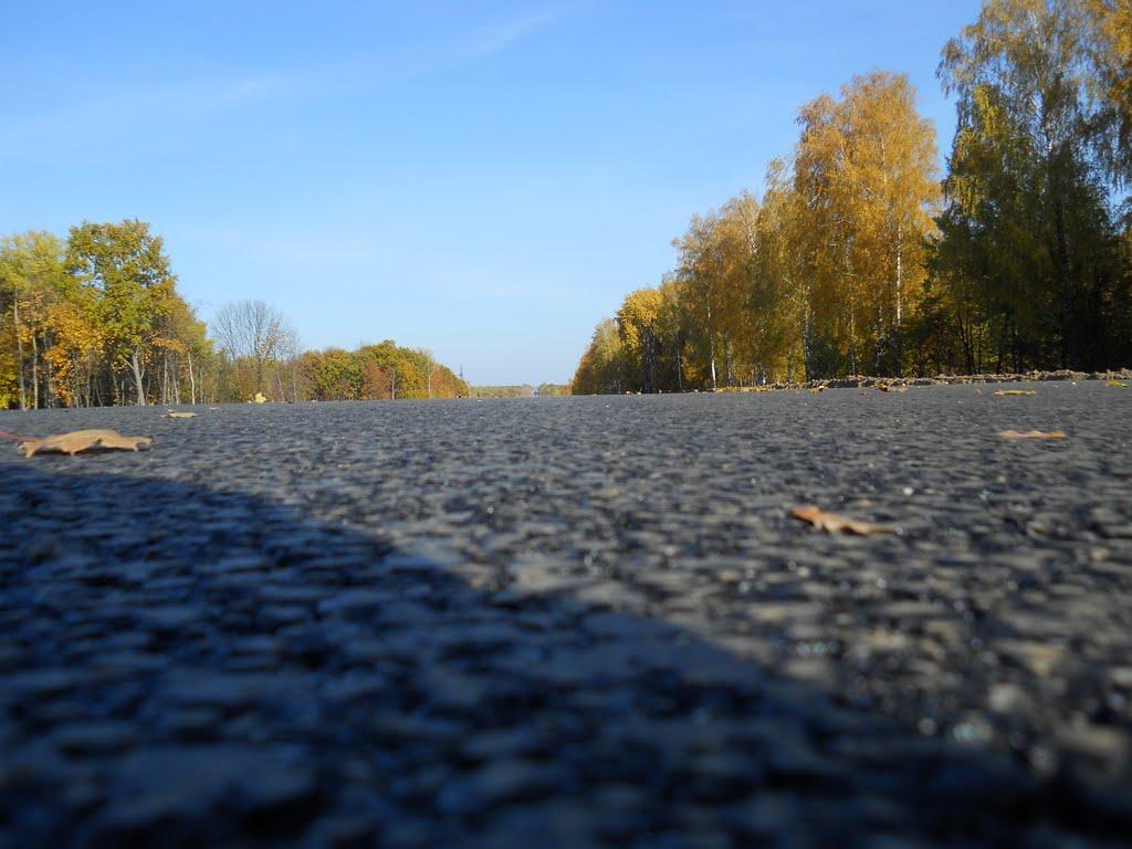 Глухів з panoramio.com - Глухів