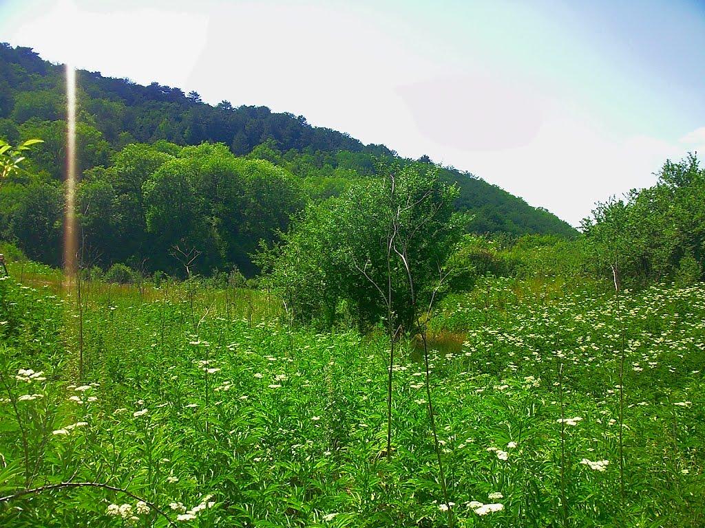 Багата Ущелина з panoramio.com - Багата Ущелина