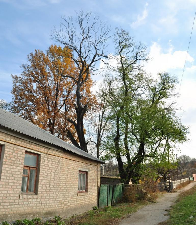 Сквира з panoramio.com - Сквира