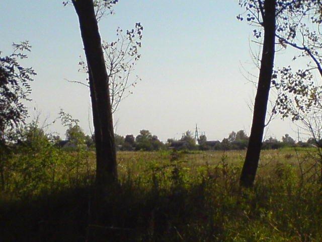 Чорноплатове з panoramio.com - Чорноплатове