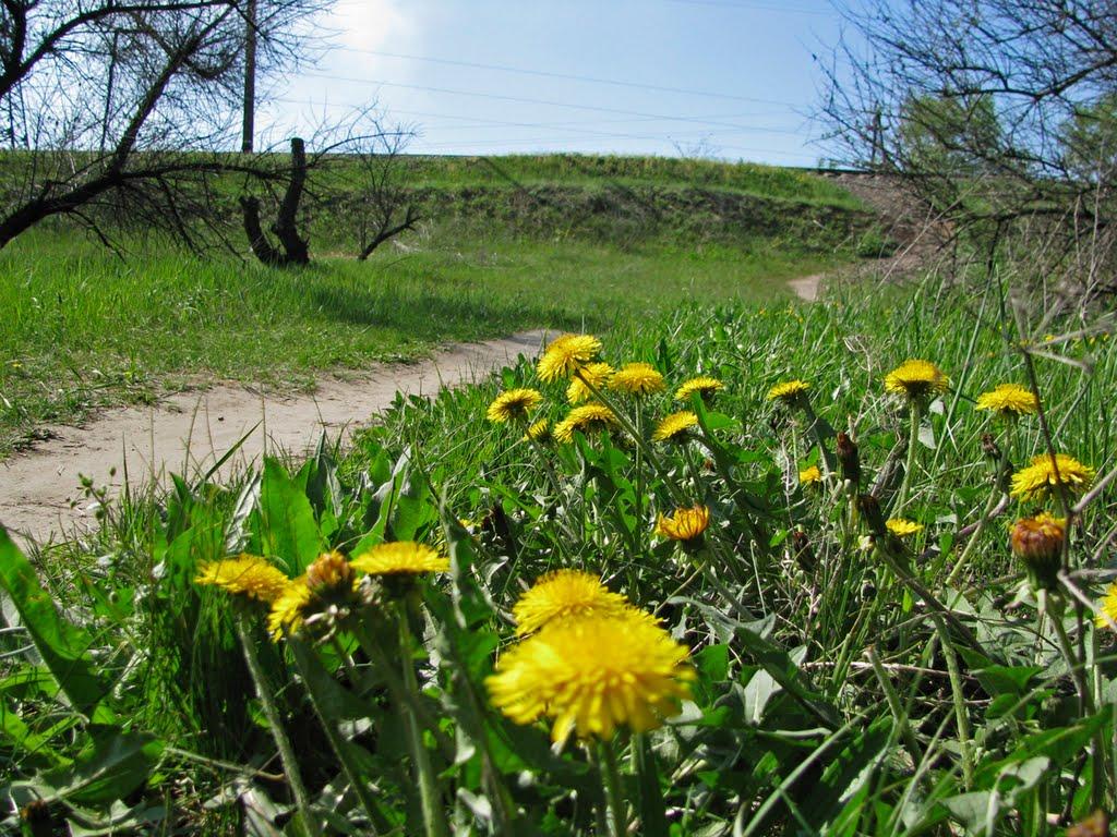 Дніпродзержинськ з panoramio.com (ч.4) - Дніпродзержинськ