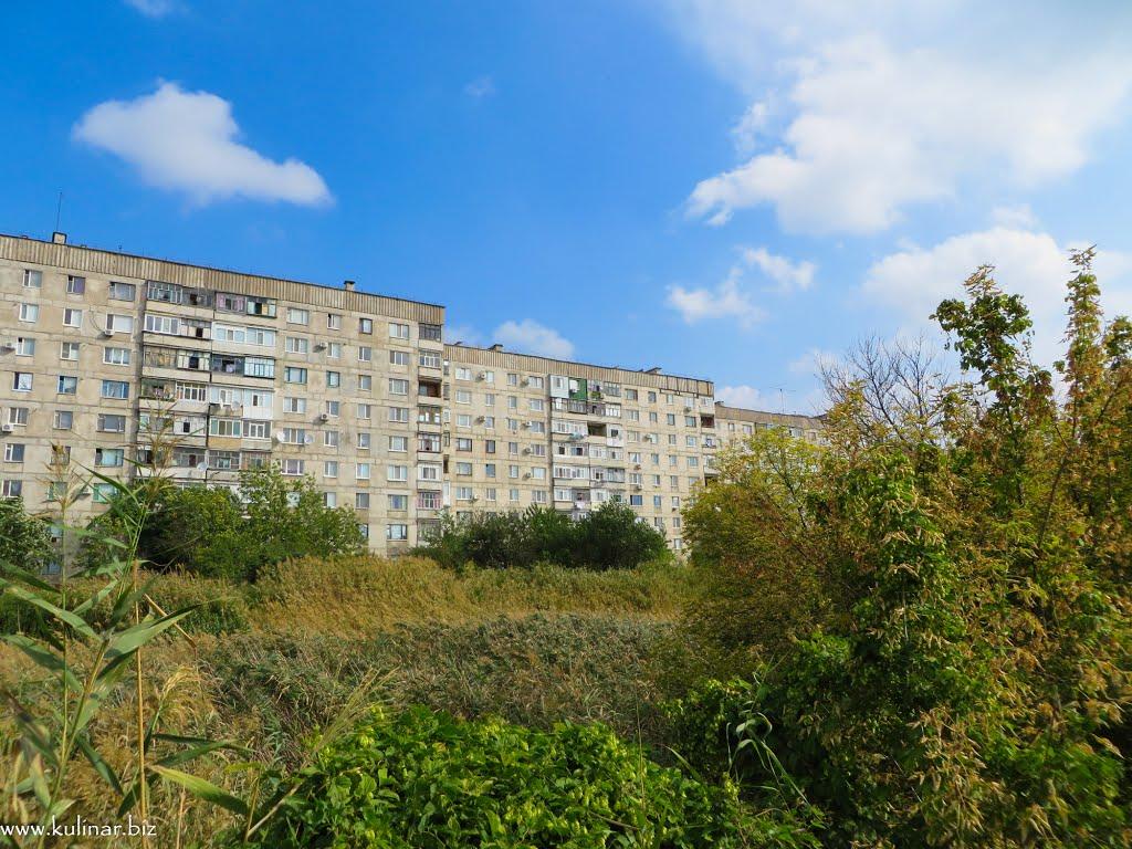 Токмак з panoramio.com - Токмак