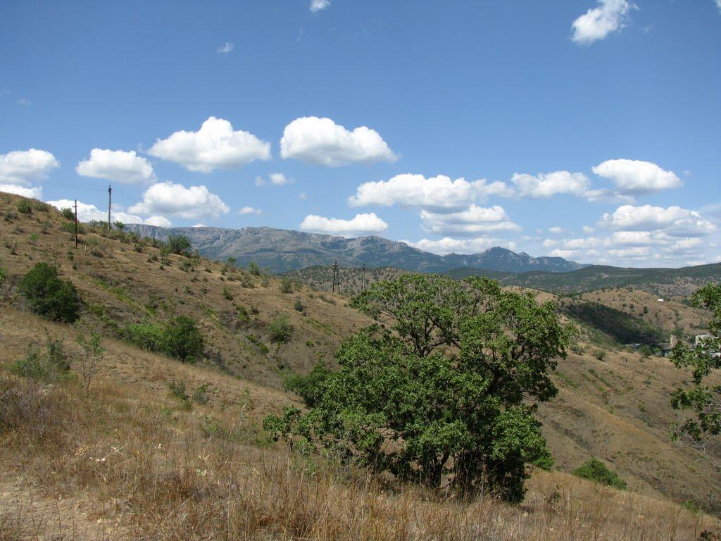 Рибаче з panoramio.com (ч.2) - Rybache