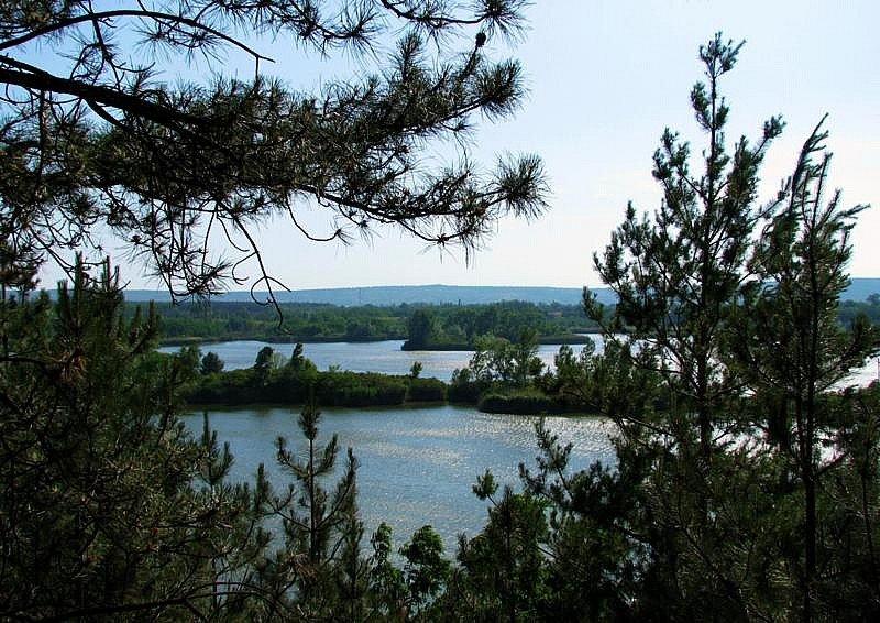 Бузьке з panoramio.com - Бугское