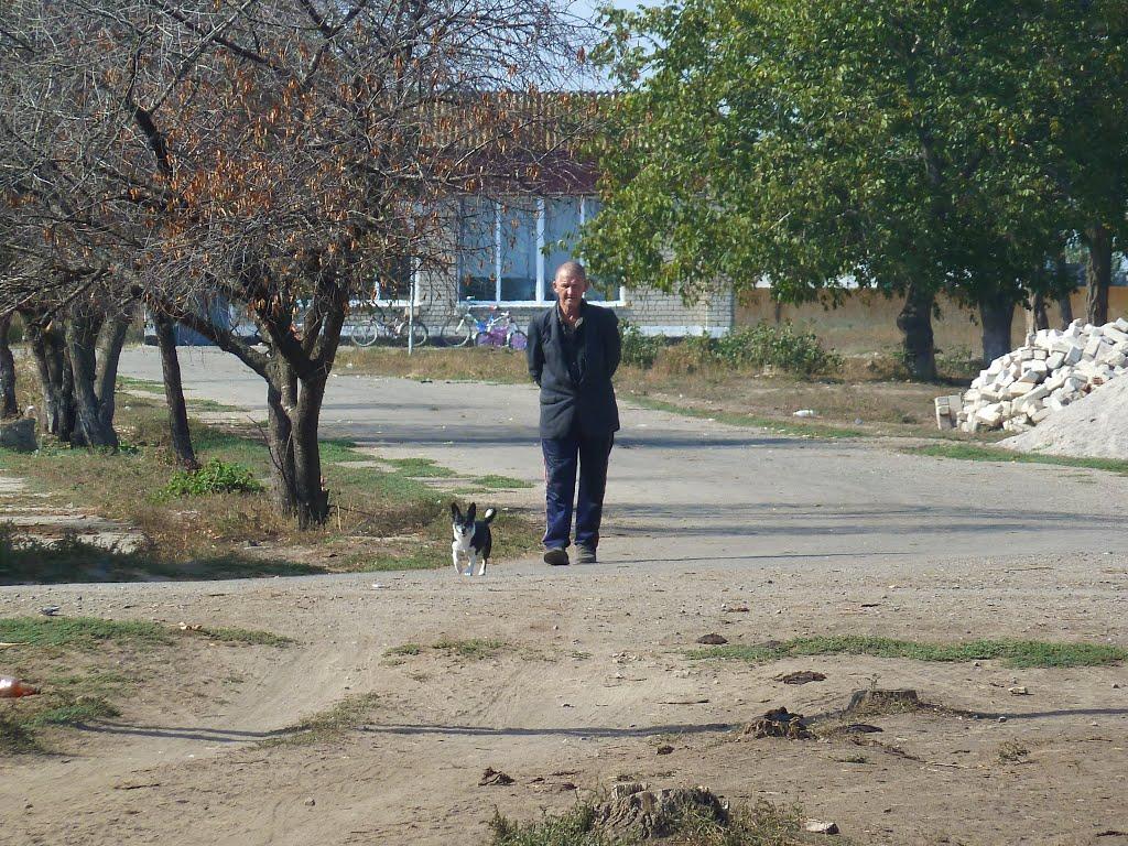 Калинівка з panoramio.com - Калиновка