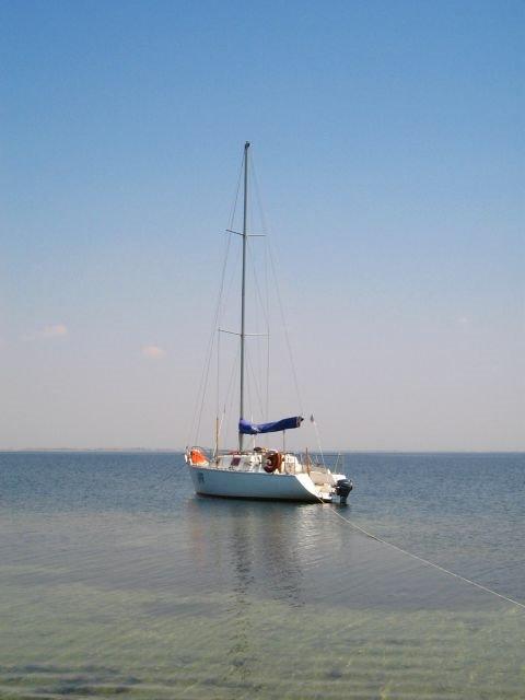 Роздольне з panoramio.com - Роздольне