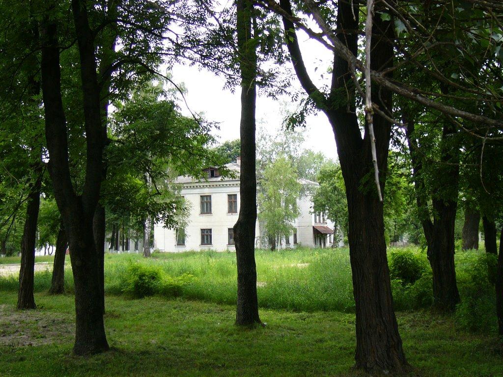 Базар з panoramio.com - Базар