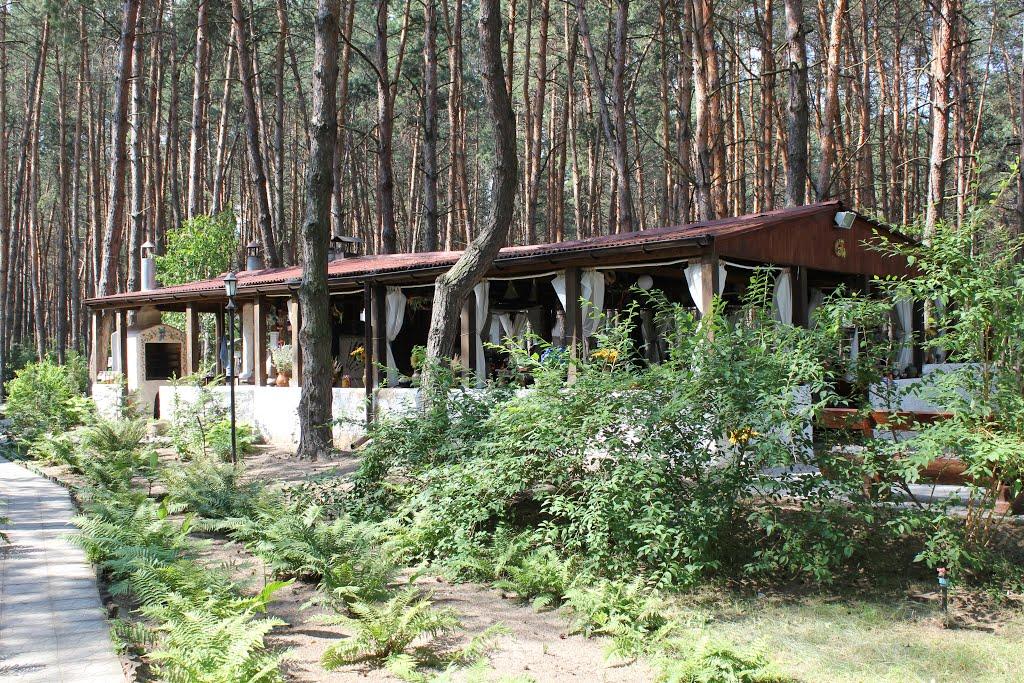 Куцеволівка з panoramio.com - Куцеволівка