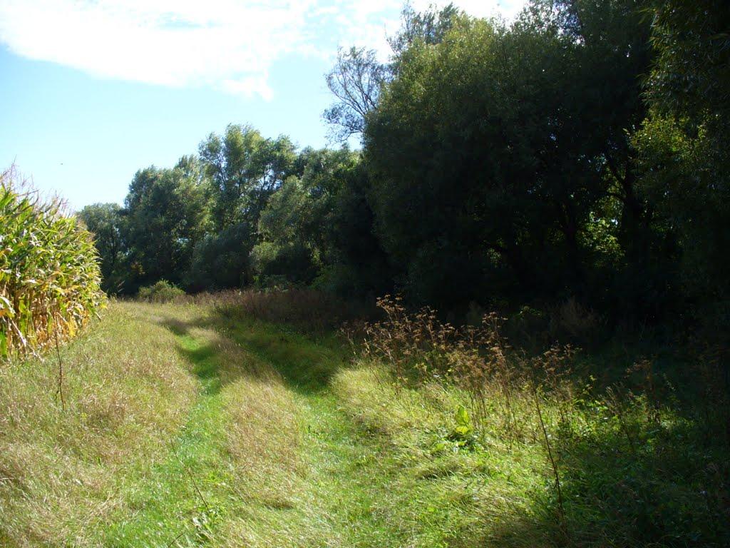 Вотилівка з panoramio.com - Вотилівка