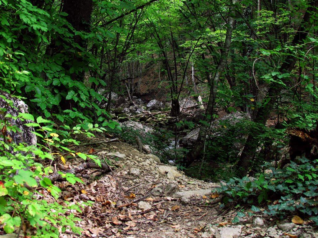 Соколине з panoramio.com (ч.2) - Соколиное