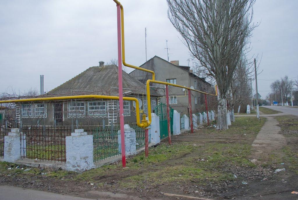 Дальник з panoramio.com - Дальник