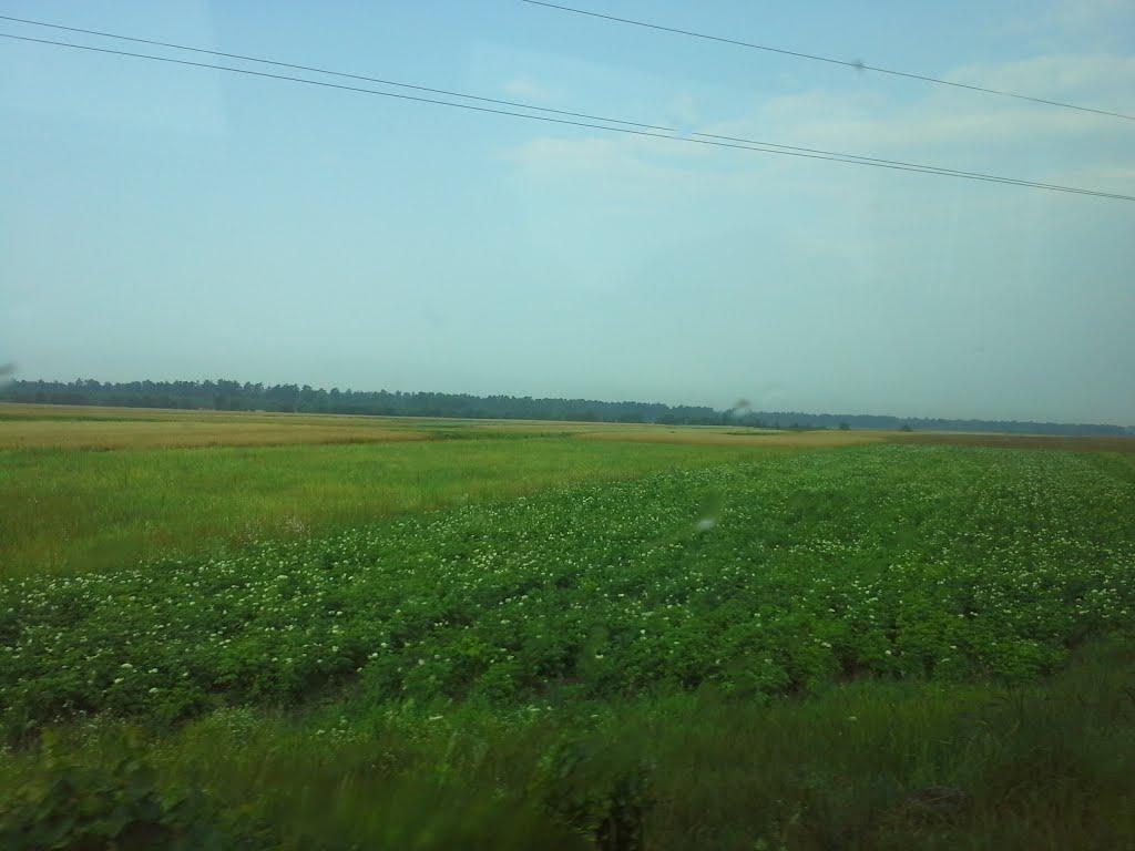 Двірець з panoramio.com - Двірець