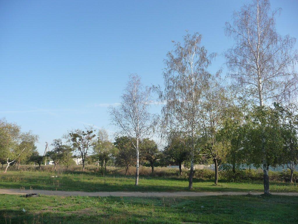 Бабаї з panoramio.com - Бабаї