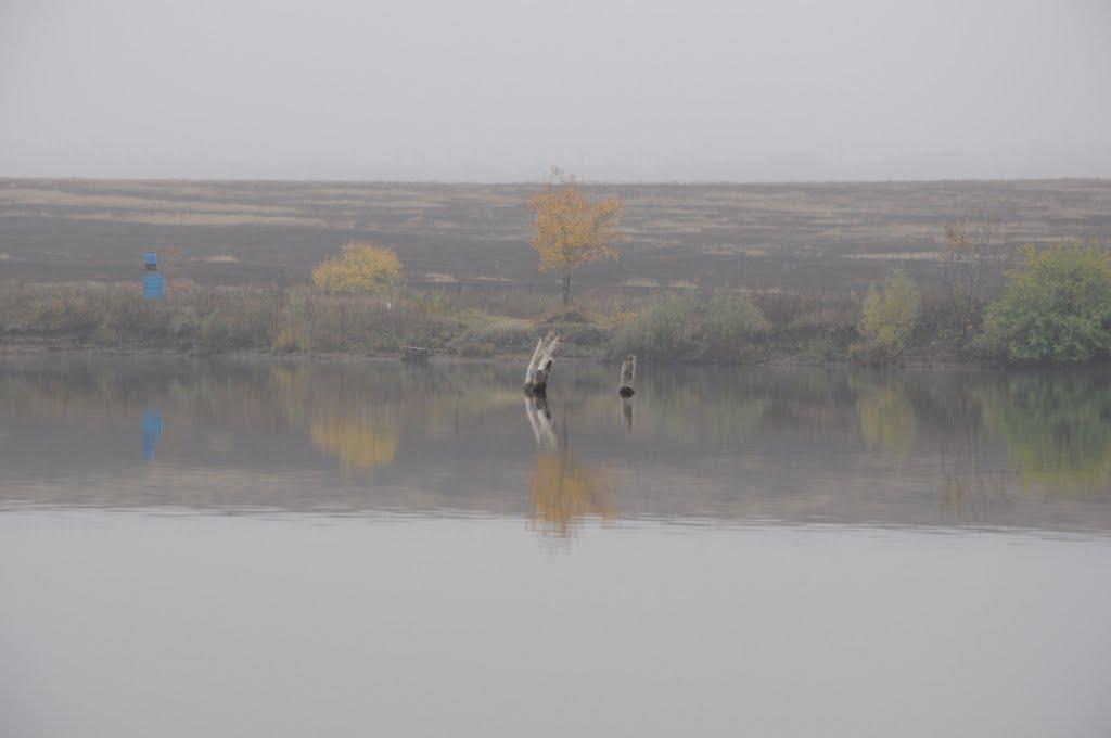 Ведмеже з panoramio.com - Ведмеже