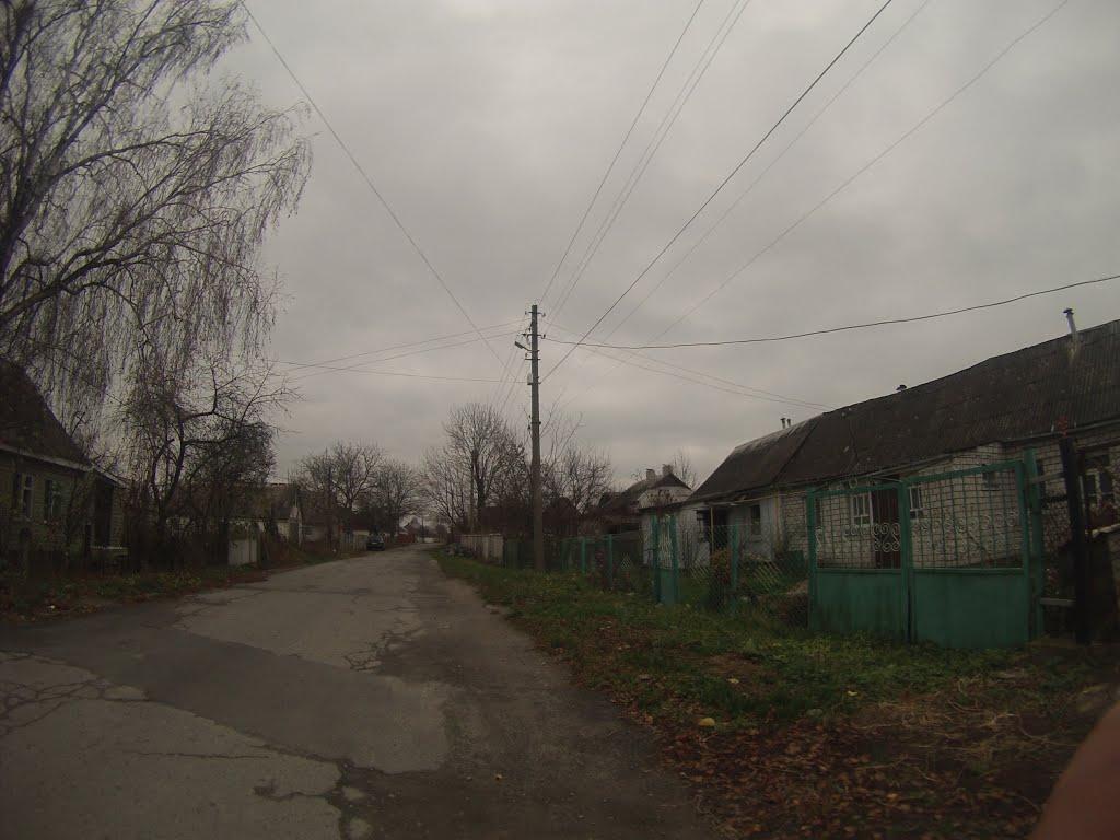 Новоград-Волинський з panoramio.com (ч.3) - Новоград-Волинський