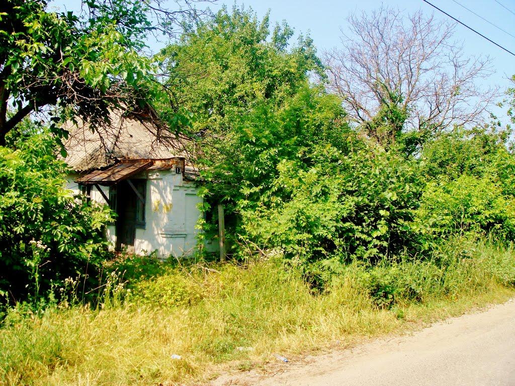 Гудзівка з panoramio.com - Гудзовка