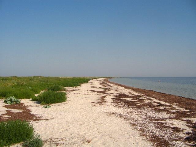 Роздольне з panoramio.com - Роздольне