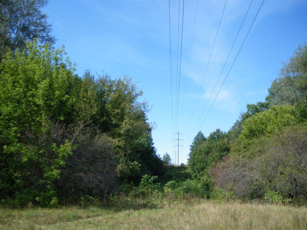 Букине з panoramio.com - Букино