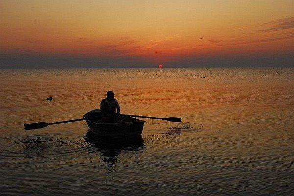 Стрілкове з panoramio.com (ч.2) - Стрелковое