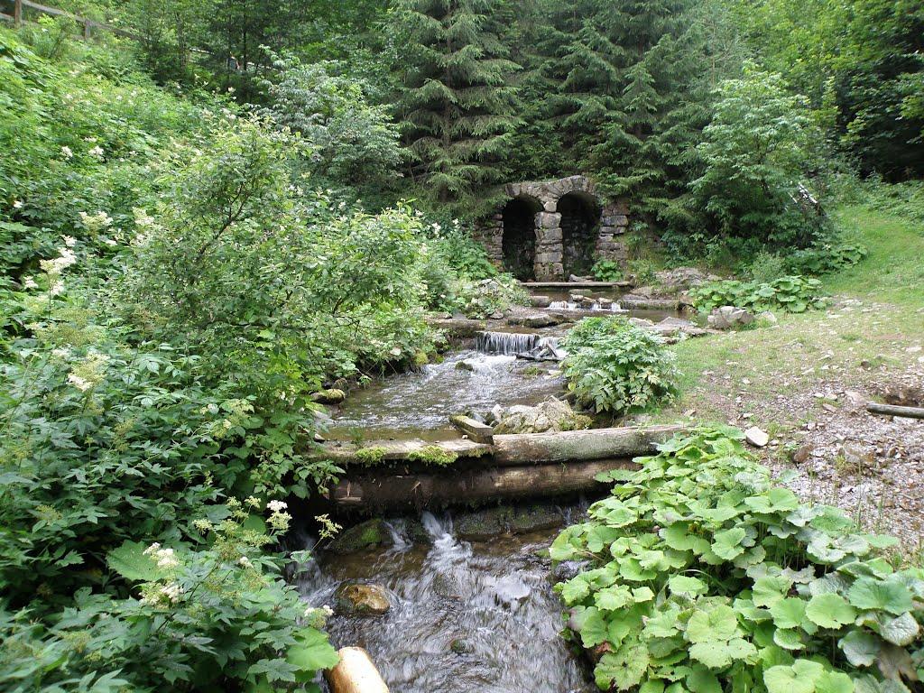 Синевирська Поляна з panoramio.com - Синевирская Поляна